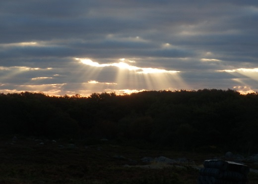 auringonnousu
