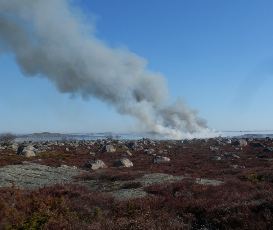 tuhotyö