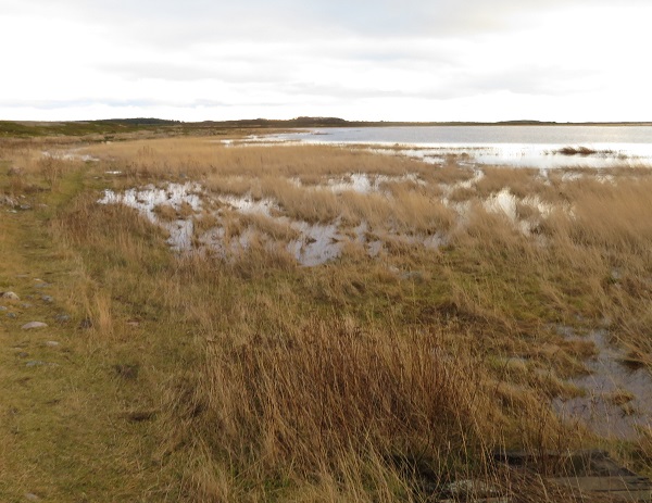 järven rantaa